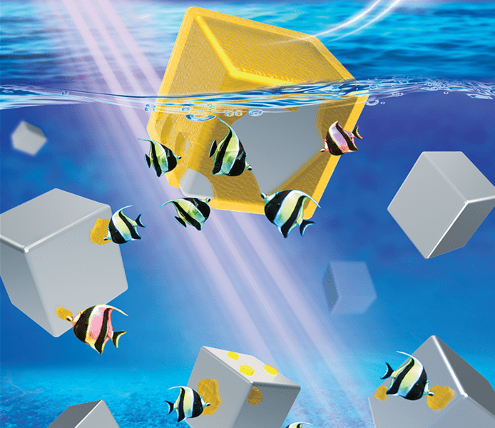 Noble Metal Nanocrystals with a Clean Surface