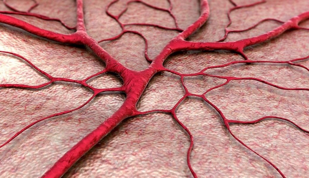 The Fourth Dimension: Fabricating Artificial Blood Vessels with 4D Bioprinting