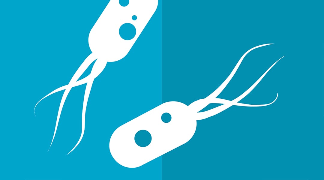 Cyclic-di-GMP Regulation of Virulence in Bacterial Pathogens