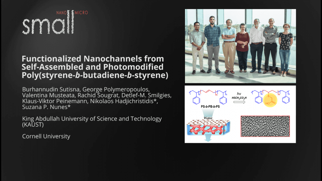 Selective and Versatile Membrane for Nanofiltration Applications