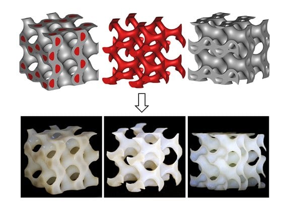 Nature-Inspired Lightweight Cellular Co-Continuous Composites