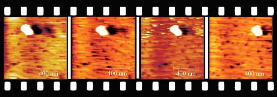 Atomic Force Microscopy Captures the Liquid/Liquid Interface