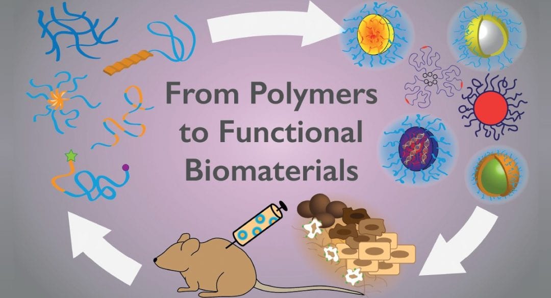From Polymers to Functional Biomaterials