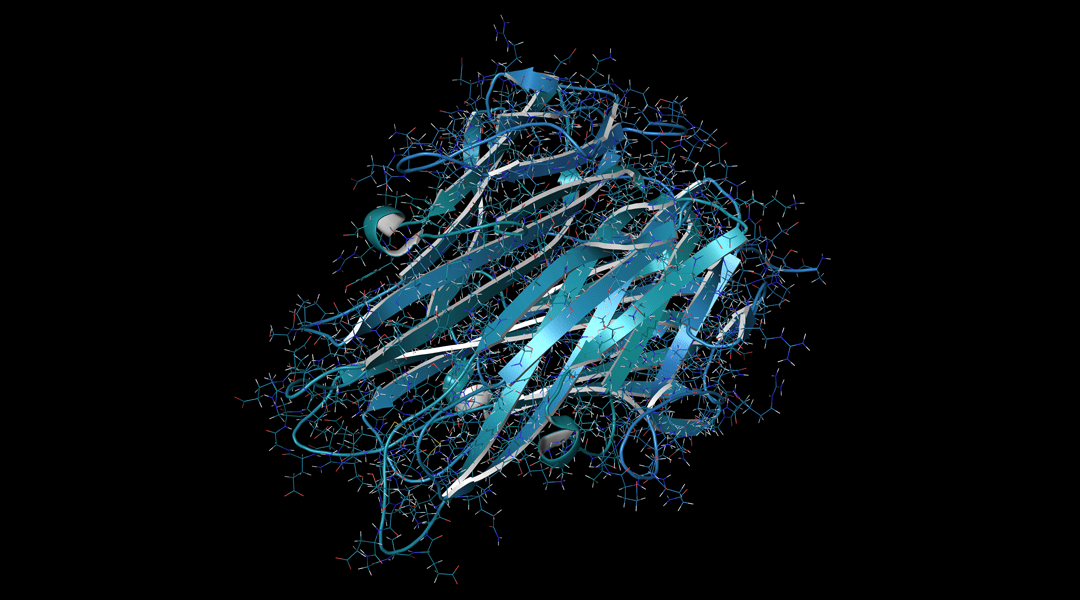 Polypeptides as Structural Materials via Chemoenzymatic Synthesis