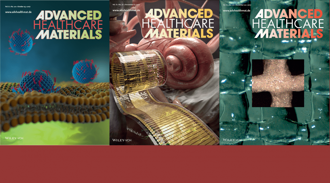 Cover Art – Nanoparticle Delivery, Implants, Cell Culture Platforms and Microscaffolds