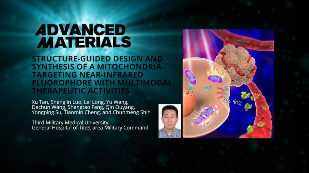 Multimodal Agent for Cancer Diagnostics and Therapeutics