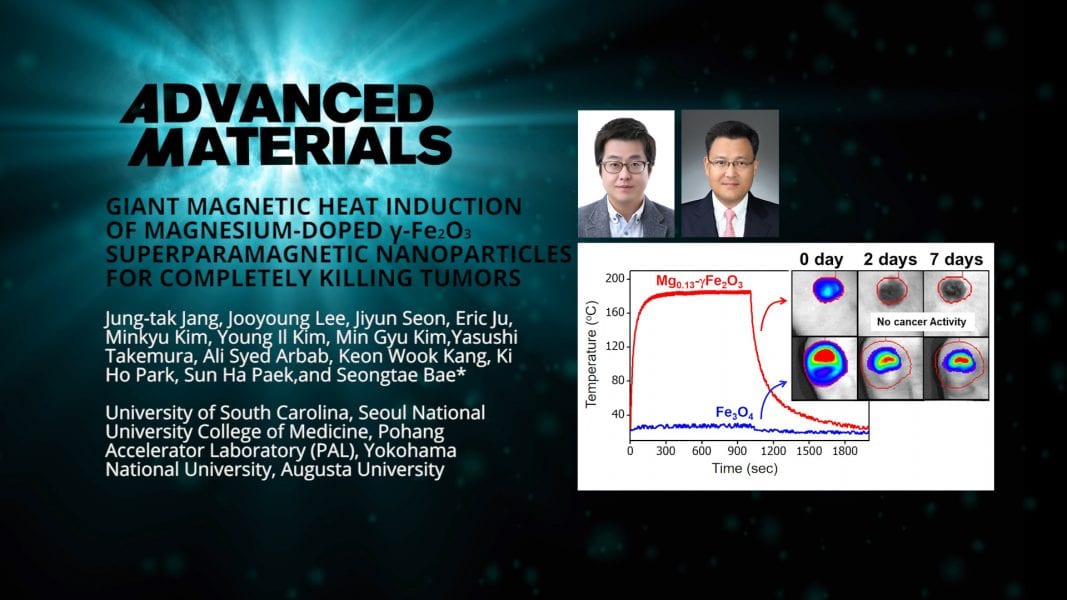 A Potent Magnetic Fluid Hyperthermia Agent for Cancer Treatment