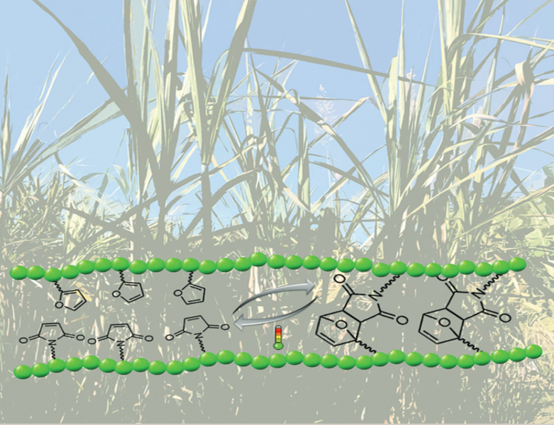 Special Issue: Fats and Oils as Renewable Feedstock for the Chemical Industry