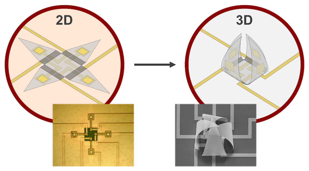 Self-Folding Shells: A 3D Recording Device for Single Live Cells