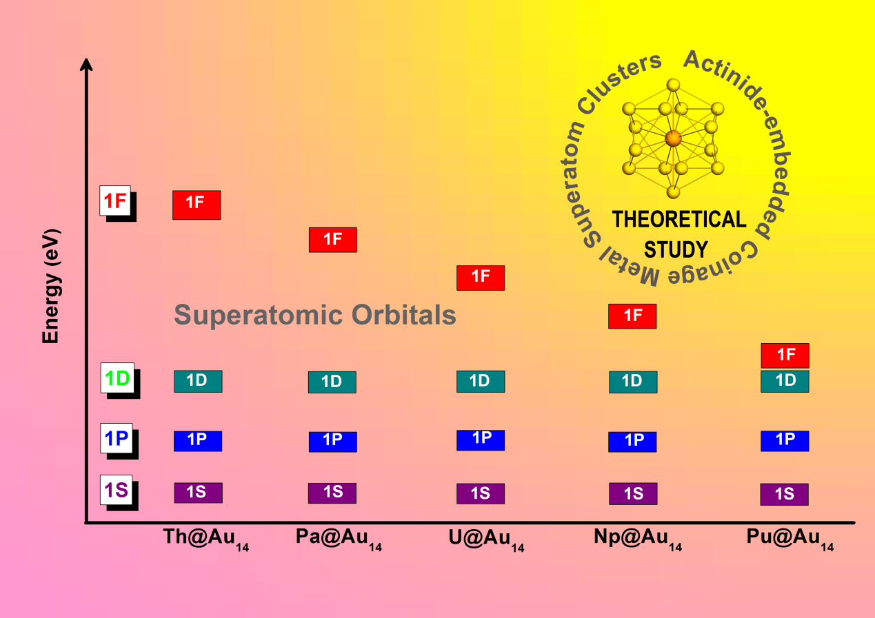 Revealing the Atomic Structure of Actinides