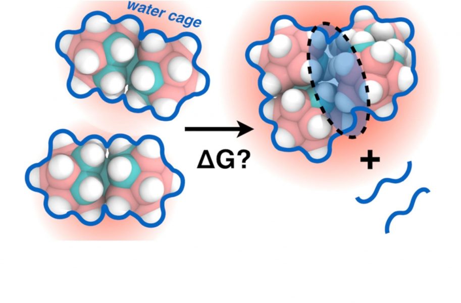 Amphiphilic Behavior of Non-Amphiphilic Structures