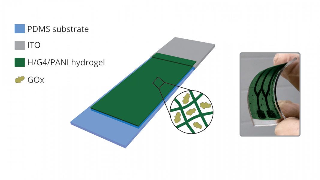 Enzyme-Like Hydrogel for Biosensing Applications [Video]