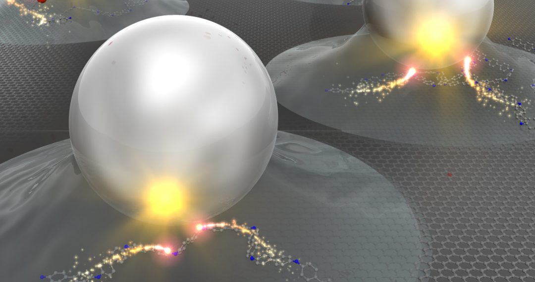 Single-Atom Catalysts Reviewed: Emerging Multifunctional Materials