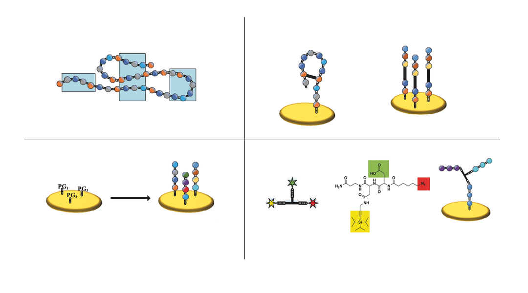 Let’s Play Proteins! Microarrays of 3D Assembled Peptide Structures