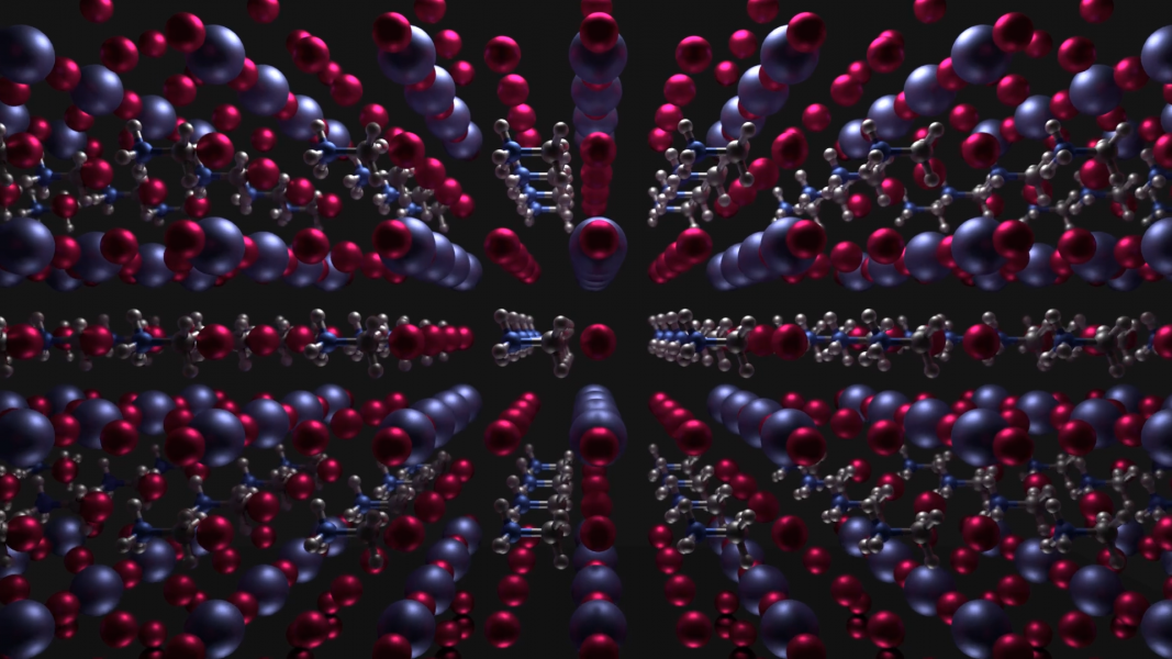 Two-Phase Coexistence in Organometal Halide Perovskites Induces a Superlattice [Video]