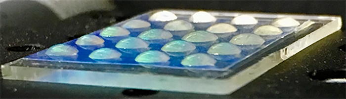 Liquid Crystal/Hydrogel Biosensor Arrays