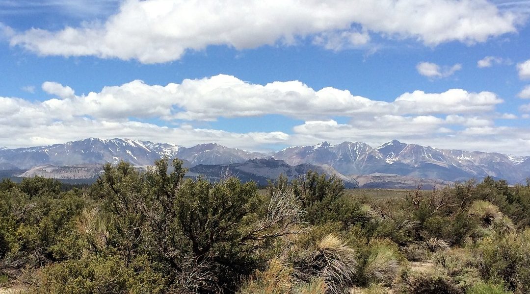 Water in Mountain Ecosystems with a Mediterranean Climate