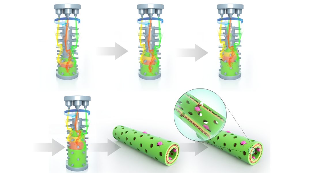 Gold-based Nanoscaffold for Peripheral Nerve Injuries [Video]