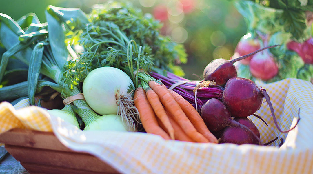 Alzheimer’s Disease and Beets?