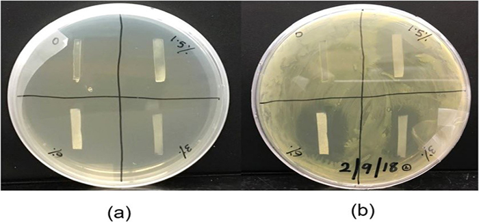 Catheter-associated Infections: Prevention using Polymers