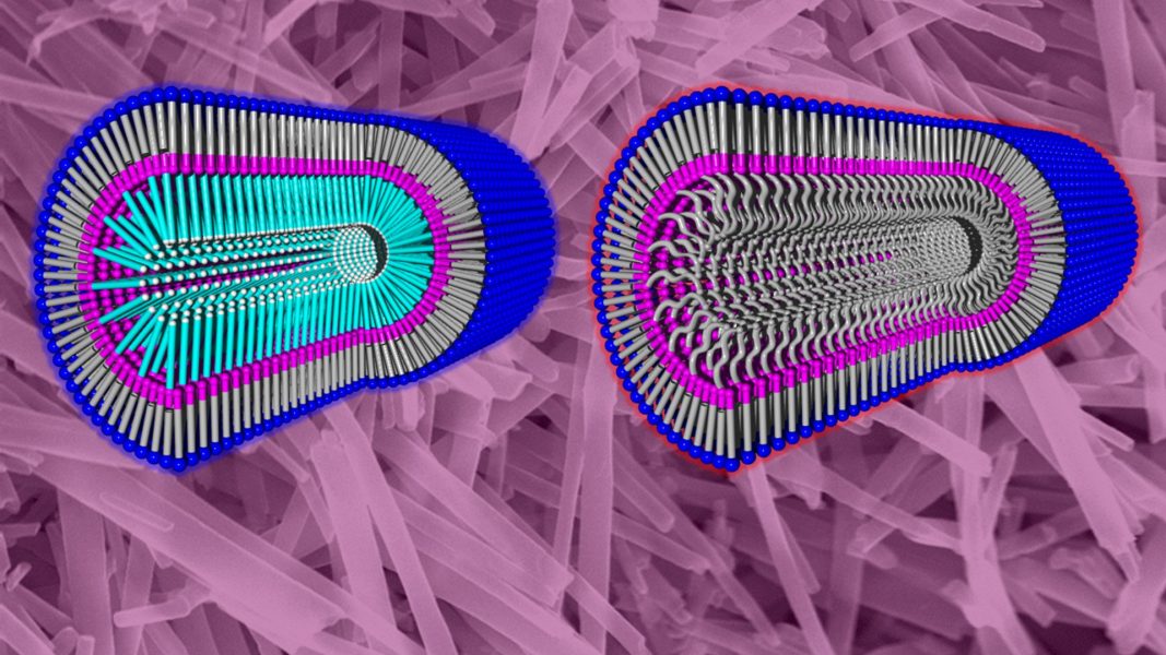 Separating Chiral Molecules with Thermoresponsive Nanotubes [Video]