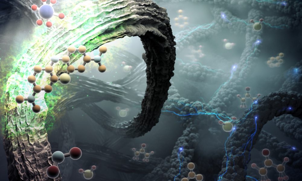 What is happening in Polymer Science?