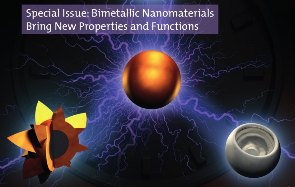 Special Issue Bimetallic Nanomaterials