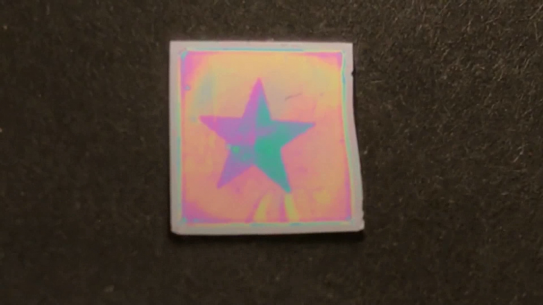 Bioinspired Hydrogel Interferometer for Adaptive Coloration and Chemical Sensing [Video]