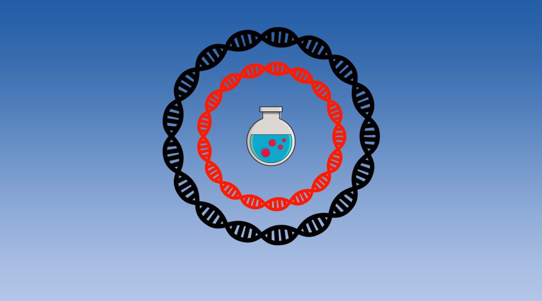 Targeting RNA in Mammalian Systems with Small Molecules