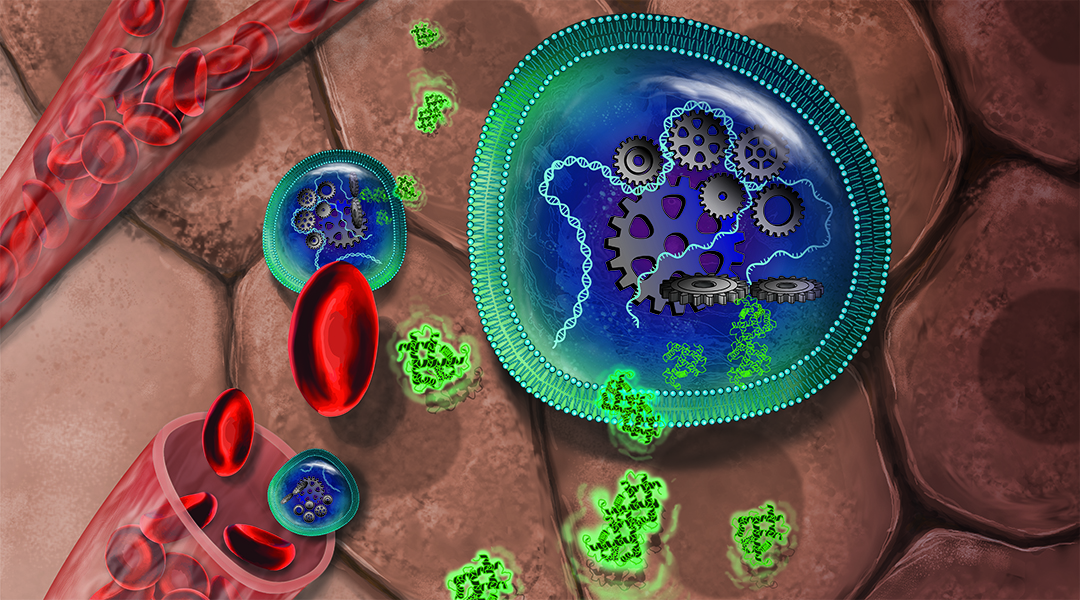 Cover Art – Microrobots for Cell & Drug Delivery and Synthetic Cells