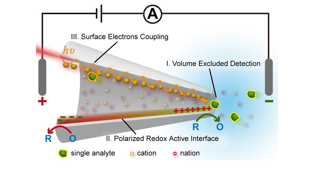 Seeing from a Nanoelectrochemical Confined World