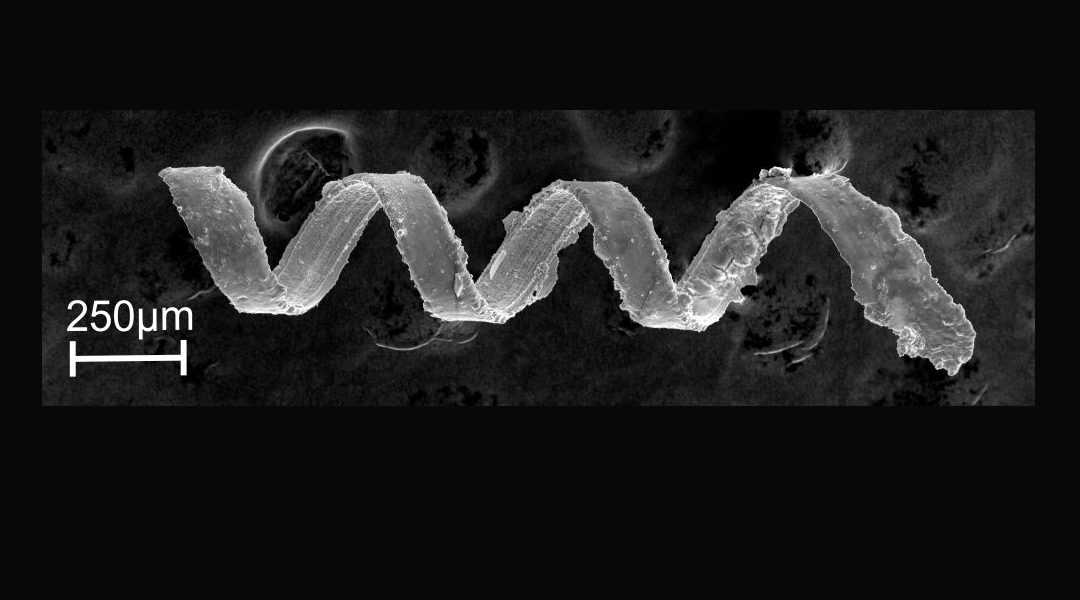 Magnetic Helical Microswimmers