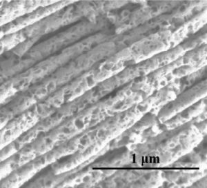 metallic MoS2 porous nanotubes