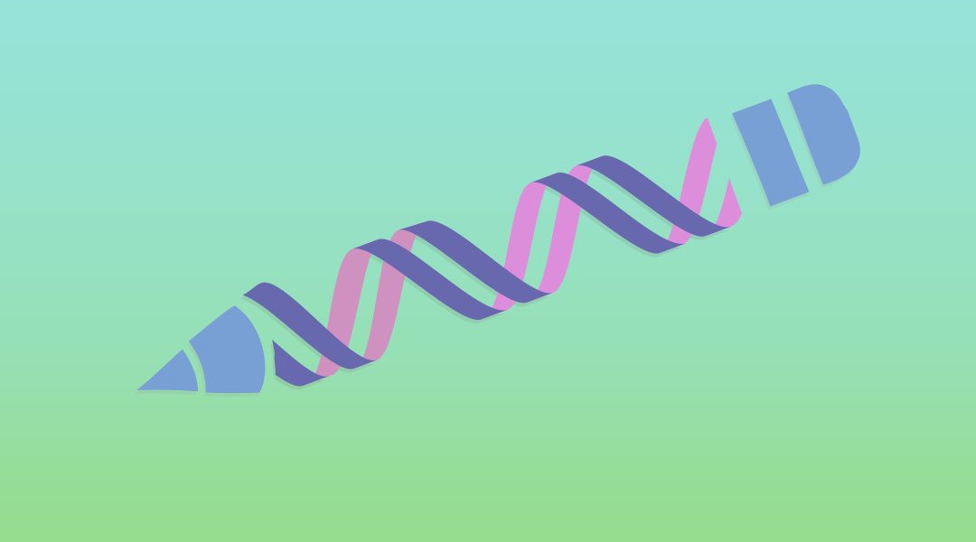 Structure–Function Comparisons and Implications for Genome Editing