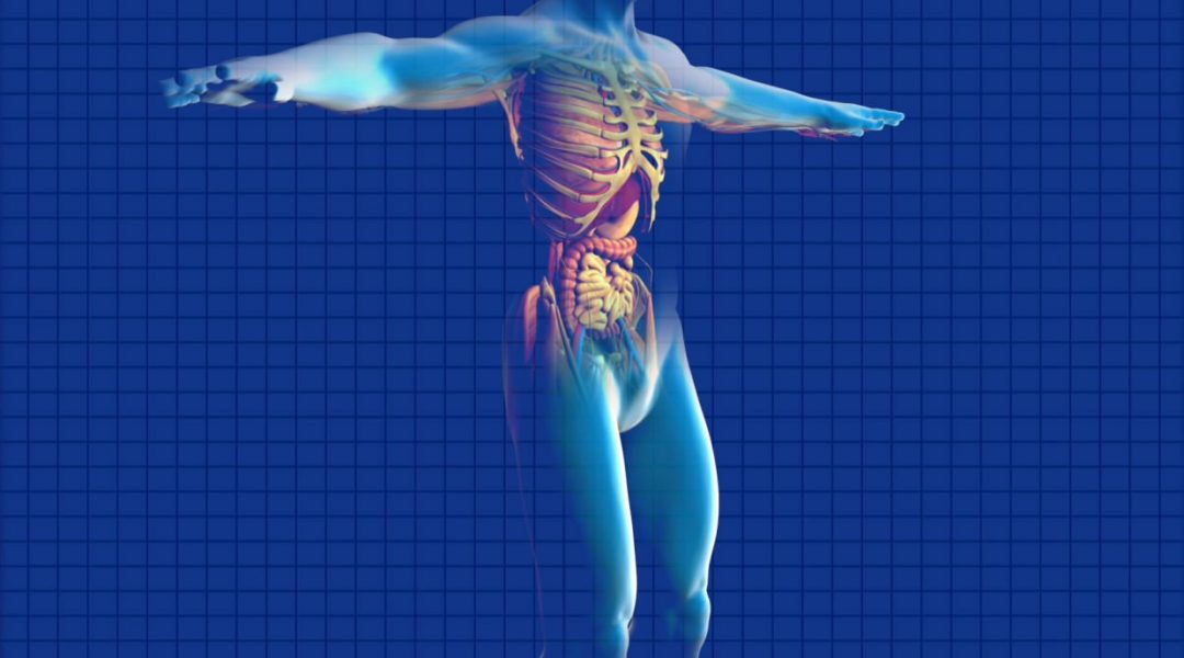 Kidney Cancer Diagnosis using Raman Spectroscopy