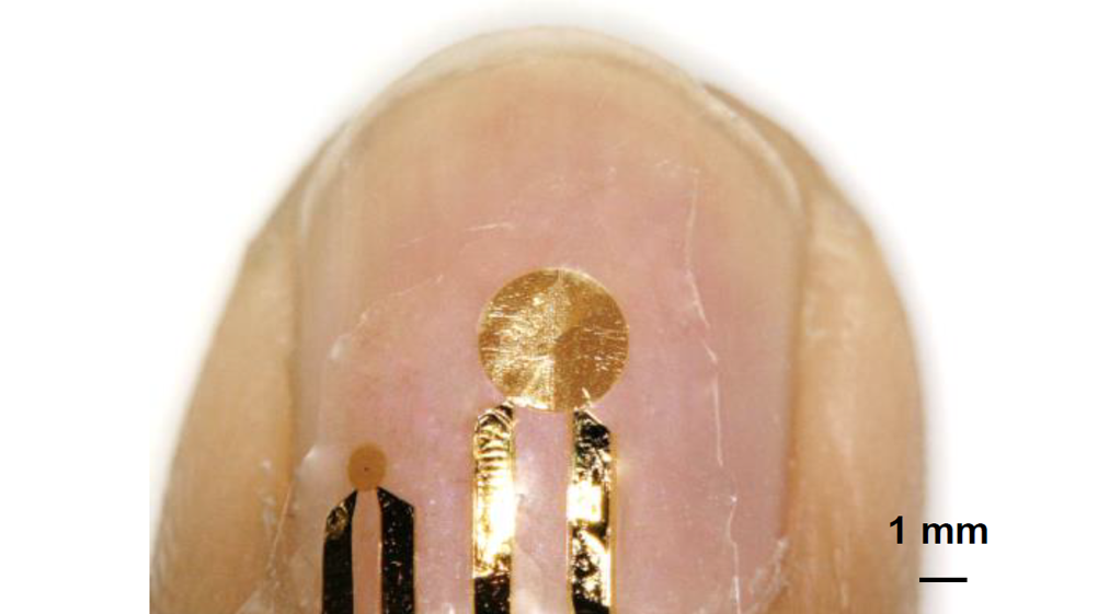 Wearable Fingernail Sensor Provides Hotbed of Thermal Data