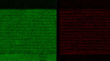 Alternate Material for Infrared Intersubband (ISB) Devices