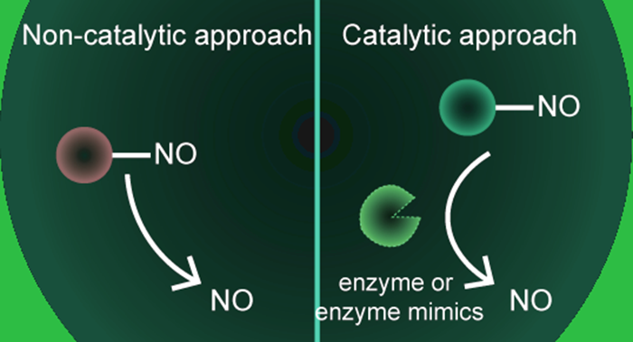 Nitric Oxide – A Simple Molecule with Complex Actions