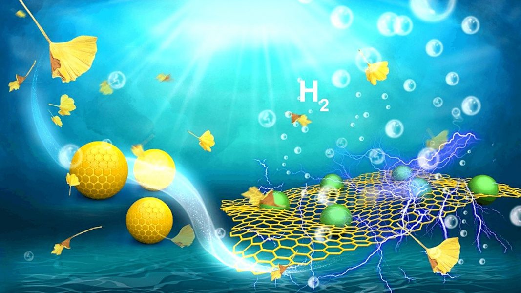 A Carbon-Quantum-Dot-Based Electrocatalyst for Hydrogen Evolution [Video]