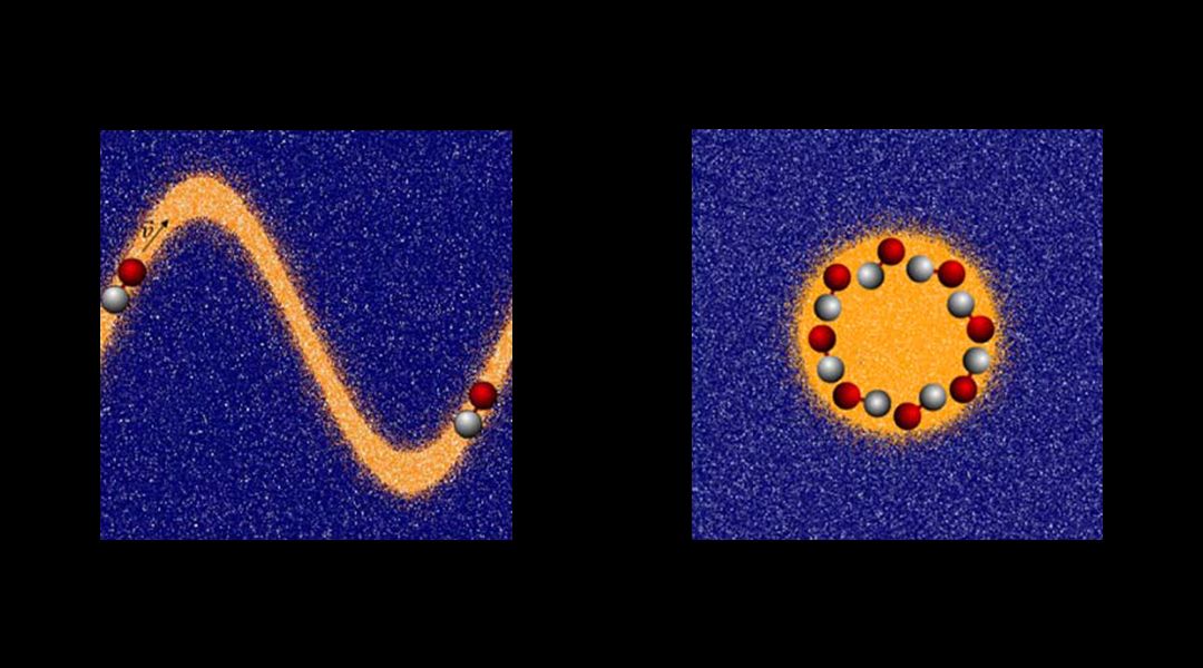 Understanding the Motion of Chemically Powered Motors