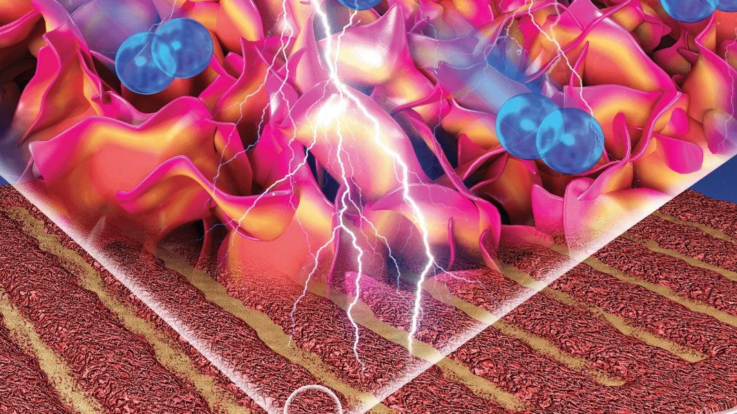 A Protective Coating for Solid Oxide Fuel Cell Electrodes [Video]