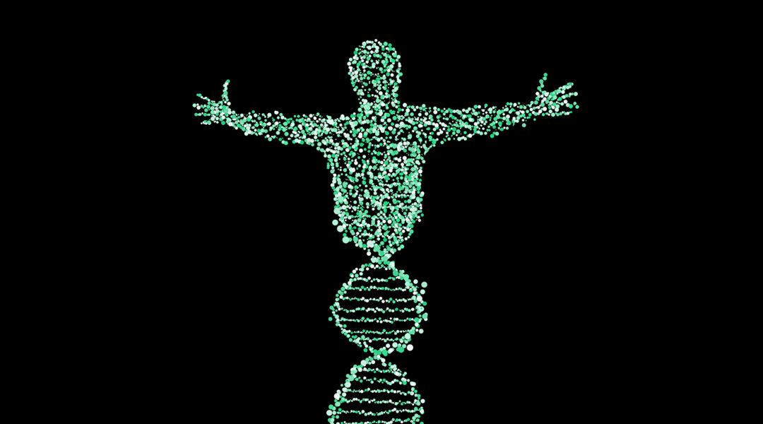 Your Form is in Your DNA: Shape-Memory Hydrogels Based on Nucleic Acid Bridging