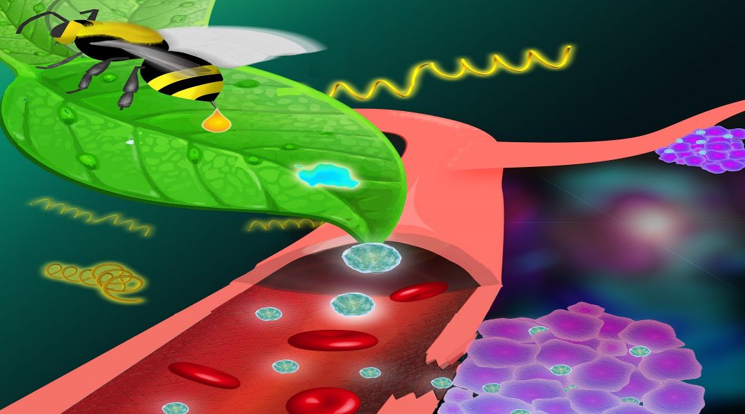 Cover Art: Supramolecular Nanotherapeutics & Polypills