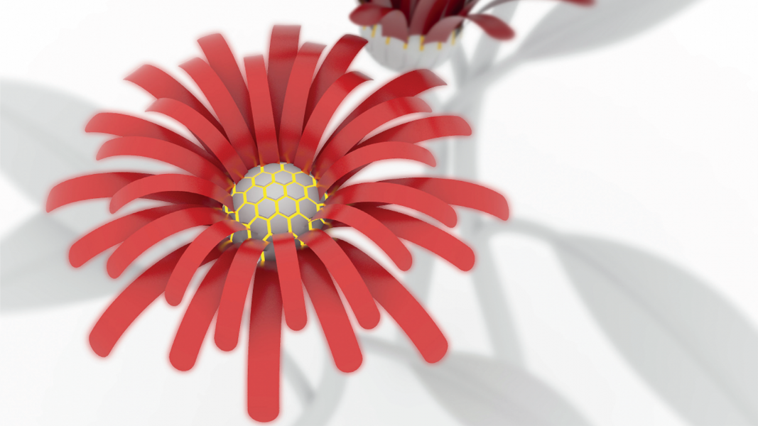 Biomimetic Soft Actuators with Color-Changing Capability [Video]