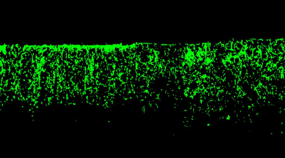 Designing Collagen Scaffolds that Permit Selective Invasion of Cells