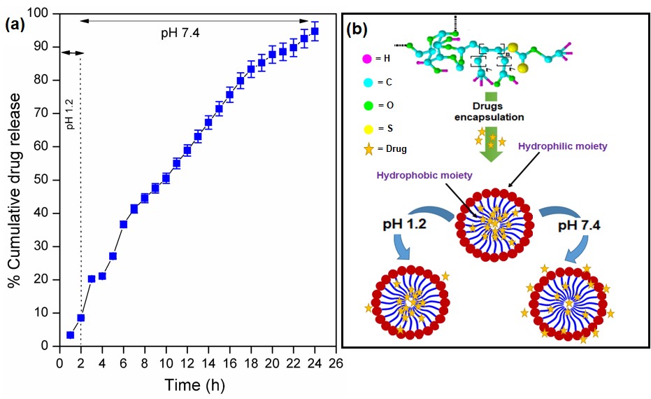 Novel Copolymers for Improved Drug Delivery