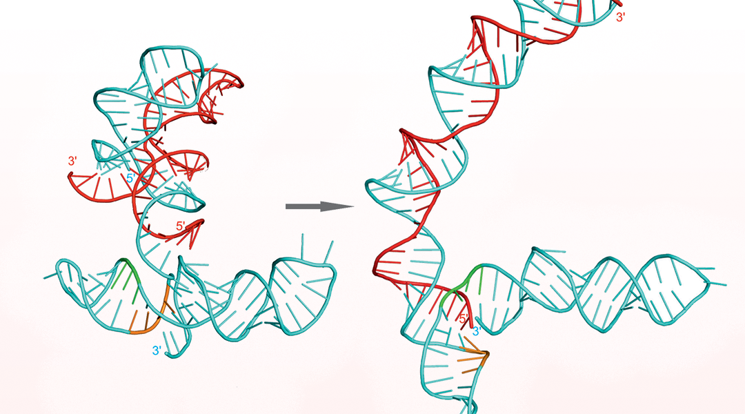 Keep the Plasmid Party Rolling, But Keep it Cool with Structured Antisense RNAs