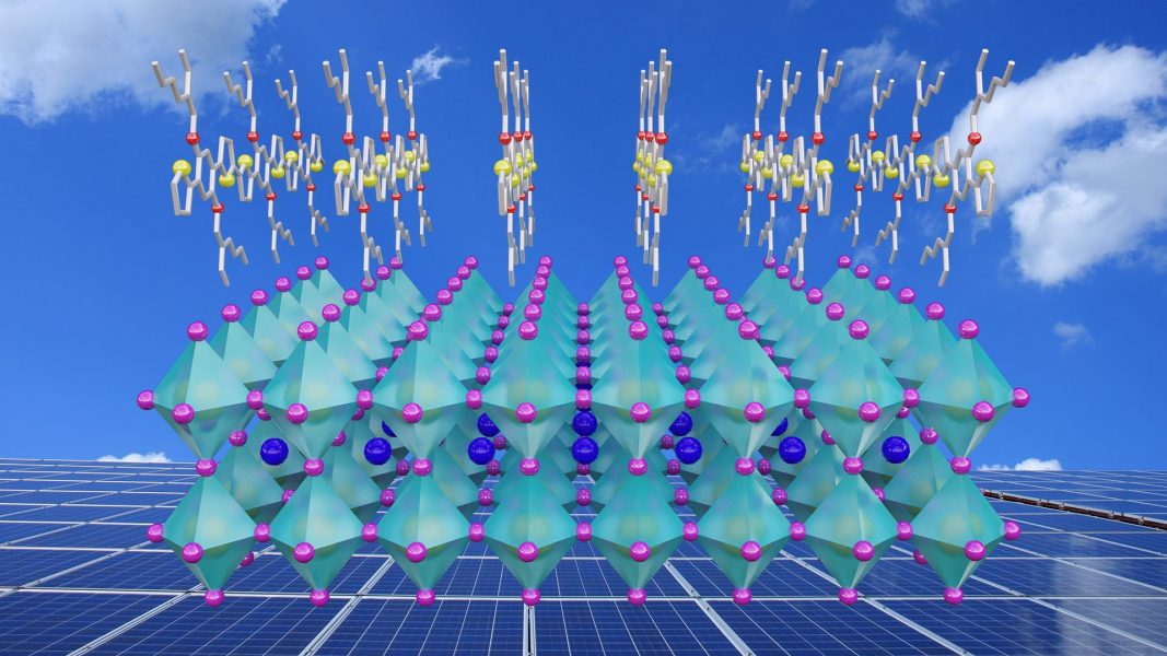 Dopant-Free Hole-Transport Material for Perovskite Solar Cells [Video]