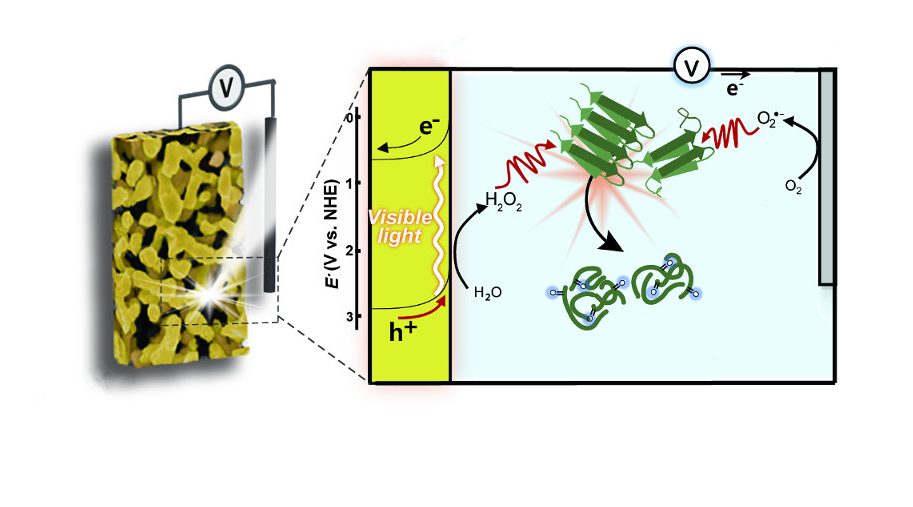 Light-Triggered Dissociation of Alzheimer’s β-Amyloid Aggregates