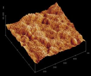 AFM, polymer solar cells